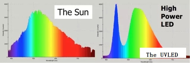 645.webp.jpg 645.webp.jpg